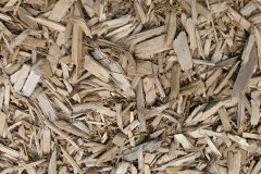 biomass boilers Talachddu